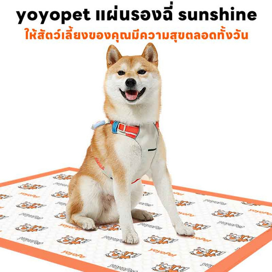 YOYOPET แผ่นรองฉี่สัตว์เลี้ยง YOYOPET แผ่นรองฉี่สัตว์เลี้ยง