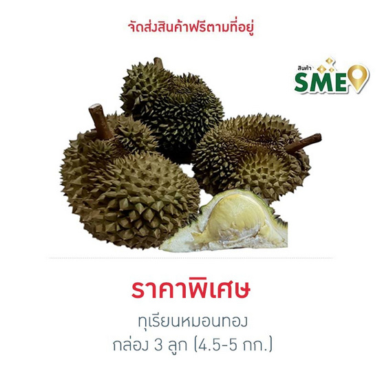 ทุเรียนหมอนทอง 3 ลูก (4.5-5 กก.) สวนน้องคิม จ.จันทบุรี ทุเรียนหมอนทอง 3 ลูก (4.5-5 กก.) สวนน้องคิม จ.จันทบุรี