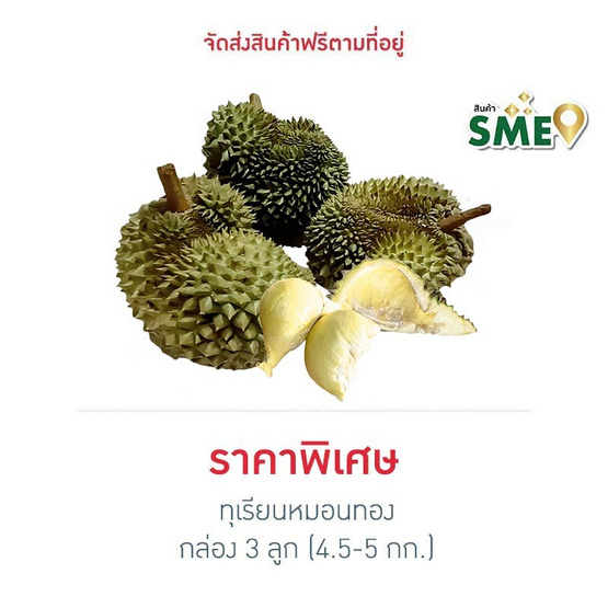 ทุเรียนหมอนทอง 3 ลูก (4.5-5 กก.) สวนน้องคิม จ.จันทบุรี ทุเรียนหมอนทอง 3 ลูก (4.5-5 กก.) สวนน้องคิม จ.จันทบุรี