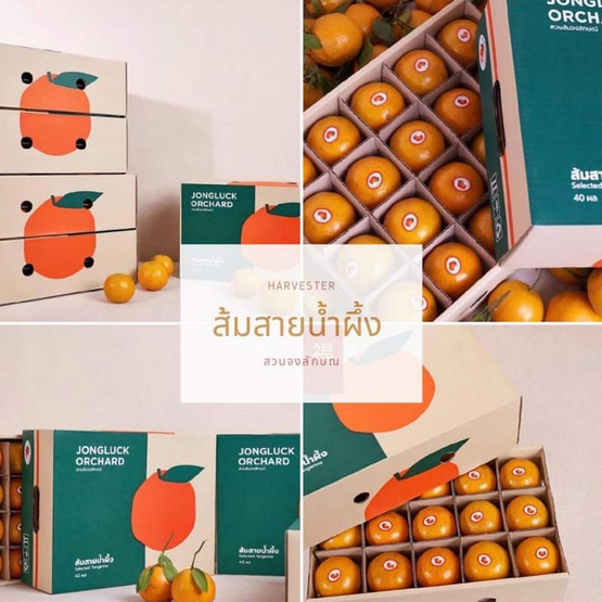 ส้มสายน้ำผึ้งฝาง กล่อง 5 กก. สวนส้มจงลักษณ์ จ.เชียงใหม่