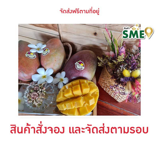 มะม่วงผิงกั่วเหวิน เทอดวลัยฟาร์ม มะม่วงผิงกั่วเหวิน เทอดวลัยฟาร์ม