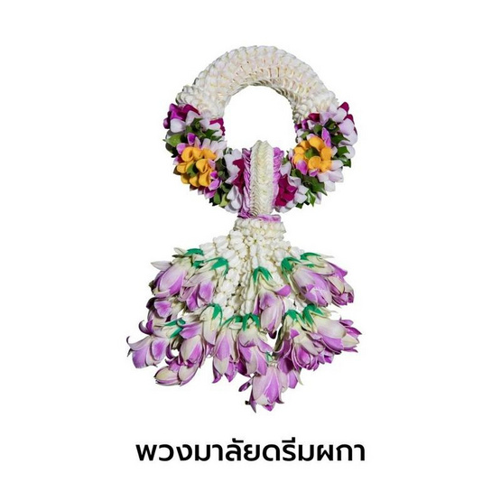 พวงมาลัยกล้วยไม้ ดรีมผกา แปลงใหญ่กล้วยไม้หนองนกไข่ จ.สมุทรสาคร พวงมาลัยกล้วยไม้ ดรีมผกา แปลงใหญ่กล้วยไม้หนองนกไข่ จ.สมุทรสาคร