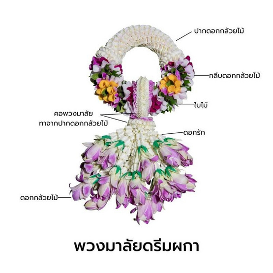 พวงมาลัยกล้วยไม้ ดรีมผกา แปลงใหญ่กล้วยไม้หนองนกไข่ จ.สมุทรสาคร พวงมาลัยกล้วยไม้ ดรีมผกา แปลงใหญ่กล้วยไม้หนองนกไข่ จ.สมุทรสาคร