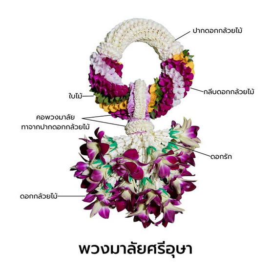 พวงมาลัยกล้วยไม้ ศรีอุษา แปลงใหญ่กล้วยไม้หนองนกไข่ จ.สมุทรสาคร พวงมาลัยกล้วยไม้ ศรีอุษา แปลงใหญ่กล้วยไม้หนองนกไข่ จ.สมุทรสาคร