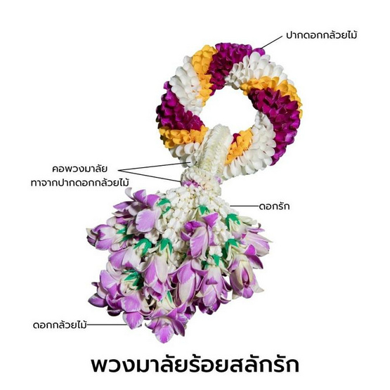 พวงมาลัยกล้วยไม้ ร้อยสลักรัก แปลงใหญ่กล้วยไม้หนองนกไข่ จ.สมุทรสาคร