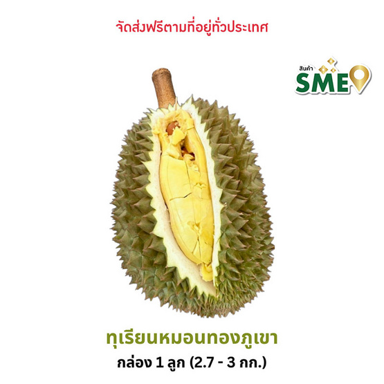 ป่าทุเรียนนครนายก ทุเรียนหมอนทองภูเขา กล่อง 1 ลูก (2.7-3 กก.)