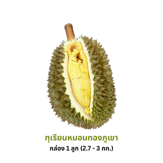 ป่าทุเรียนนครนายก ทุเรียนหมอนทองภูเขา กล่อง 1 ลูก (2.7-3 กก.)