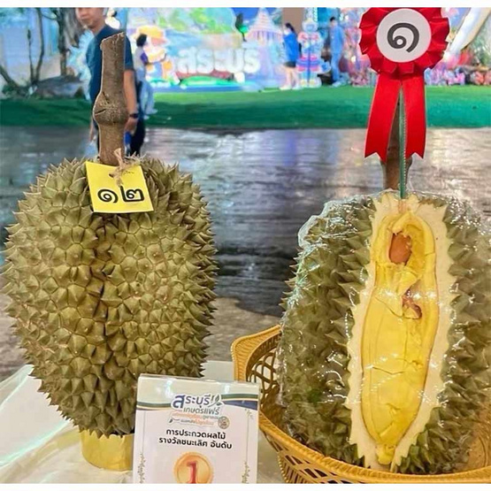 ป่าทุเรียนนครนายก ทุเรียนหมอนทองภูเขา กล่อง 2 ลูก (4.5-5 กก.)