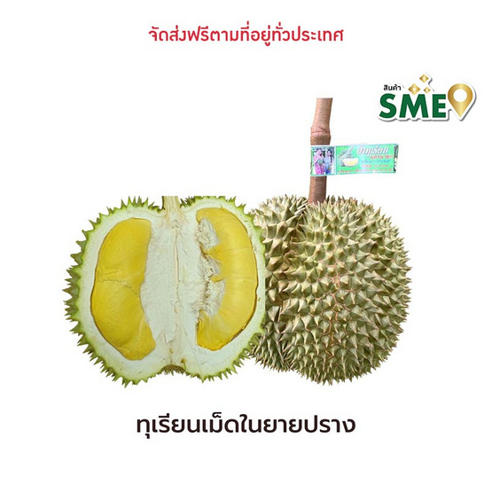 ทุเรียนเม็ดในยายปราง สวนลุงเบิ้ม จ.นครนายก ทุเรียนเม็ดในยายปราง สวนลุงเบิ้ม จ.นครนายก