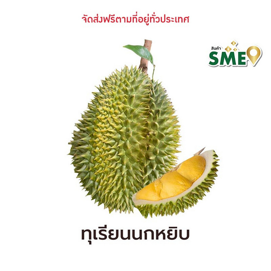 ทุเรียนนกหยิบ สวนลุงเบิ้ม จ.นครนายก ทุเรียนนกหยิบ สวนลุงเบิ้ม จ.นครนายก