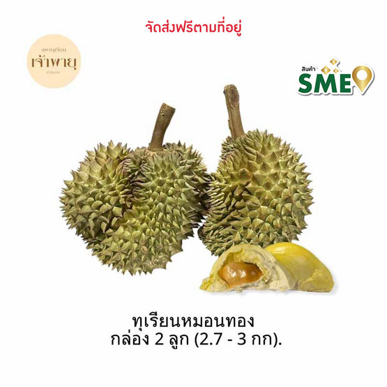 ทุเรียนหมอนทอง 2 ลูก 2.7-3 กก. สวนเจ้าพายุ จ.จันทบุรี ทุเรียนหมอนทอง 2 ลูก 2.7-3 กก. สวนเจ้าพายุ จ.จันทบุรี