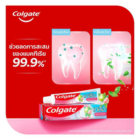 คอลเกต ยาสีฟัน เกลือใบฝรั่ง 75 กรัม (แพ็ก 12 ชิ้น) คอลเกต ยาสีฟัน เกลือใบฝรั่ง 75 กรัม (แพ็ก 12 ชิ้น)