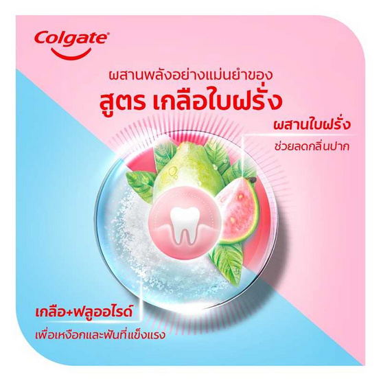 คอลเกต ยาสีฟัน เกลือใบฝรั่ง 75 กรัม (แพ็ก 12 ชิ้น) คอลเกต ยาสีฟัน เกลือใบฝรั่ง 75 กรัม (แพ็ก 12 ชิ้น)