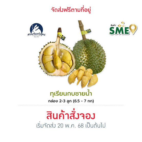 ทุเรียนกบชายน้ำ 2-3 ลูก (6.5-7 กก.) สวนจันทวิสูตร จ.จันทบุรี ทุเรียนกบชายน้ำ 2-3 ลูก (6.5-7 กก.) สวนจันทวิสูตร จ.จันทบุรี
