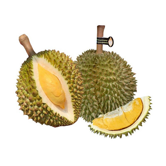 ทุเรียนนวลทองจันท์ 2 ลูก 2.7-3 กก. สวนนวลทองจันท์ จ.จันทบุรี ทุเรียนนวลทองจันท์ 2 ลูก 2.7-3 กก. สวนนวลทองจันท์ จ.จันทบุรี