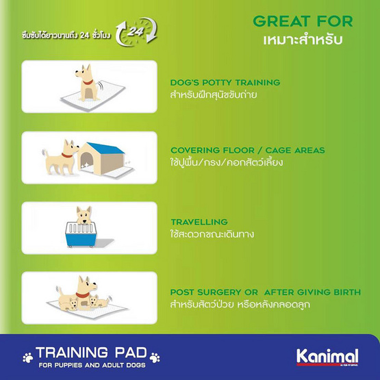 Kanimal Pad แผ่นรองฉี่สุนัข แผ่นรองซับ Size L ขนาด 60x90 ซม. 20 แผ่น / แพ็ก Kanimal Pad แผ่นรองฉี่สุนัข แผ่นรองซับ Size L ขนาด 60x90 ซม. 20 แผ่น / แพ็ก