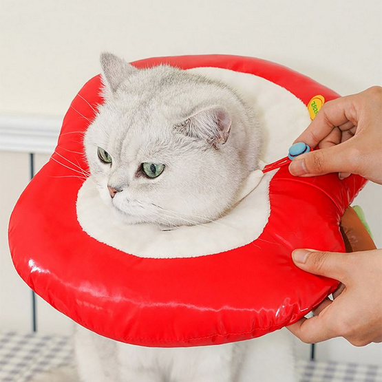 zeze Apple Collar ปลอกคอแอปเปิล ป้องกันแมวเลียแผล สีแดง zeze Apple Collar ปลอกคอแอปเปิล ป้องกันแมวเลียแผล สีแดง