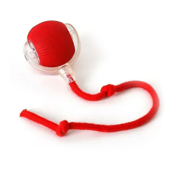 zeze Smart Rolling Ball ลูกบอลของเล่นสัตว์เลี้ยง กลิ้งได้เอง มีไฟกะพริบ zeze Smart Rolling Ball ลูกบอลของเล่นสัตว์เลี้ยง กลิ้งได้เอง มีไฟกะพริบ