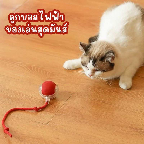 zeze Smart Rolling Ball ลูกบอลของเล่นสัตว์เลี้ยง กลิ้งได้เอง มีไฟกะพริบ zeze Smart Rolling Ball ลูกบอลของเล่นสัตว์เลี้ยง กลิ้งได้เอง มีไฟกะพริบ