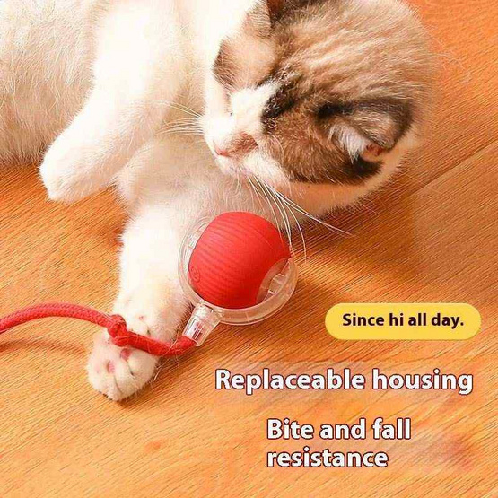 zeze Smart Rolling Ball ลูกบอลของเล่นสัตว์เลี้ยง กลิ้งได้เอง มีไฟกะพริบ zeze Smart Rolling Ball ลูกบอลของเล่นสัตว์เลี้ยง กลิ้งได้เอง มีไฟกะพริบ