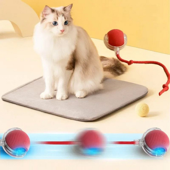 zeze Smart Rolling Ball ลูกบอลของเล่นสัตว์เลี้ยง กลิ้งได้เอง มีไฟกะพริบ zeze Smart Rolling Ball ลูกบอลของเล่นสัตว์เลี้ยง กลิ้งได้เอง มีไฟกะพริบ