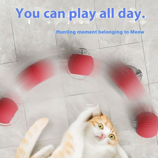 zeze Smart Rolling Ball ลูกบอลของเล่นสัตว์เลี้ยง กลิ้งได้เอง มีไฟกะพริบ zeze Smart Rolling Ball ลูกบอลของเล่นสัตว์เลี้ยง กลิ้งได้เอง มีไฟกะพริบ