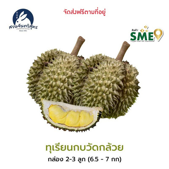 ทุเรียนกบวัดกล้วย 2-3 ลูก 6.5-7 กก. สวนจันทวิสูตร จ.จันทบุรี ทุเรียนกบวัดกล้วย 2-3 ลูก 6.5-7 กก. สวนจันทวิสูตร จ.จันทบุรี