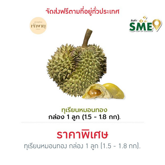 ทุเรียนหมอนทอง 1 ลูก 1.5-1.8 กก. สวนเจ้าพายุ จ.จันทบุรี ทุเรียนหมอนทอง 1 ลูก 1.5-1.8 กก. สวนเจ้าพายุ จ.จันทบุรี