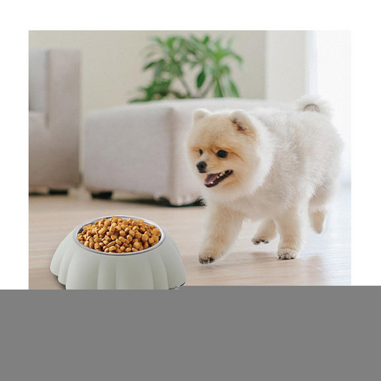 KUMA ชามอาหารสัตว์เลี้ยงสแตนเลส ฐานกว้าง ปุยเมฆ- EverGreen KUMA ชามอาหารสัตว์เลี้ยงสแตนเลส ฐานกว้าง ปุยเมฆ- EverGreen
