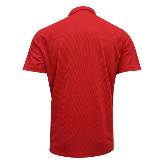 FBT เสื้อโปโลชาย/หญิง (UNISEX) - แดง FBT เสื้อโปโลชาย/หญิง (UNISEX) - แดง