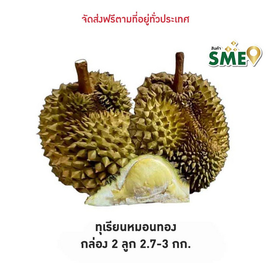 ทุเรียนหมอนทอง 2 ลูก 2.7-3 กก. สวนน้องคิม จ.จันทบุรี ทุเรียนหมอนทอง 2 ลูก 2.7-3 กก. สวนน้องคิม จ.จันทบุรี