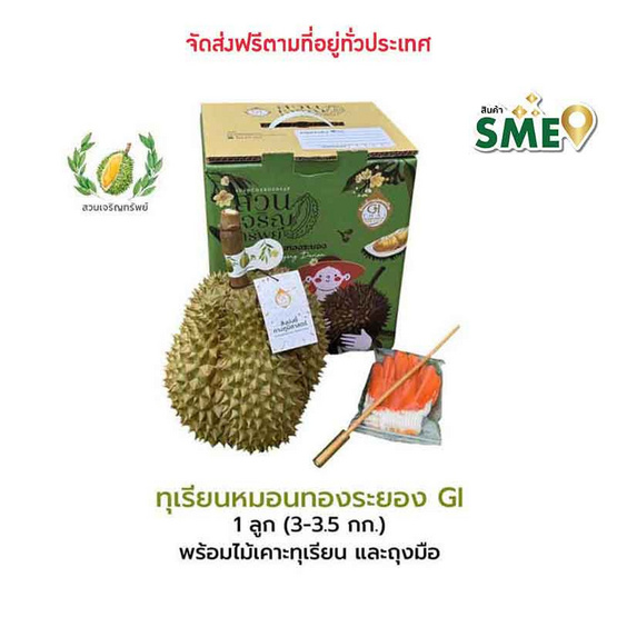 ทุเรียนหมอนทองระยอง GI 1 ลูก (3-3.5กก.) สวนเจริญทรัพย์ จ.ระยอง ทุเรียนหมอนทองระยอง GI 1 ลูก (3-3.5กก.) สวนเจริญทรัพย์ จ.ระยอง