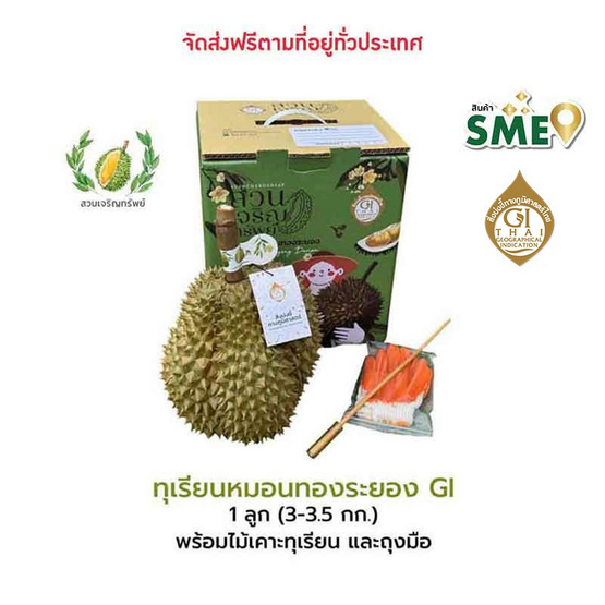 ทุเรียนหมอนทองระยอง GI 1 ลูก (3-3.5กก.) สวนเจริญทรัพย์ จ.ระยอง ทุเรียนหมอนทองระยอง GI 1 ลูก (3-3.5กก.) สวนเจริญทรัพย์ จ.ระยอง