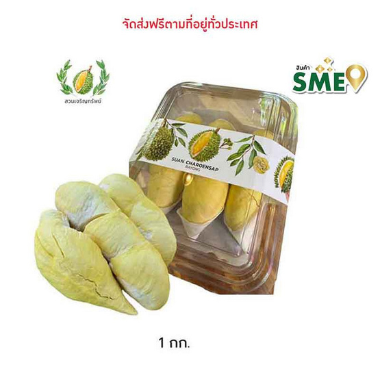 ทุเรียนหมอนทองระยอง GI แกะเนื้อ 1กก. สวนเจริญทรัพย์ จ.ระยอง