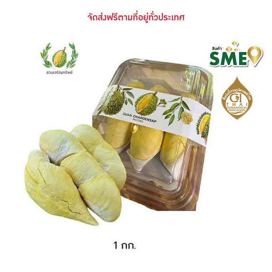 ทุเรียนหมอนทองระยอง GI แกะเนื้อ 1กก. สวนเจริญทรัพย์ จ.ระยอง ทุเรียนหมอนทองระยอง GI แกะเนื้อ 1กก. สวนเจริญทรัพย์ จ.ระยอง