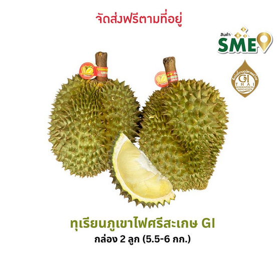 ทุเรียนภูเขาไฟศรีสะเกษหมอนทอง 2 ลูก (5.5-6 กก.) ดีจริง ศรีสะเกษ ทุเรียนภูเขาไฟศรีสะเกษหมอนทอง 2 ลูก (5.5-6 กก.) ดีจริง ศรีสะเกษ