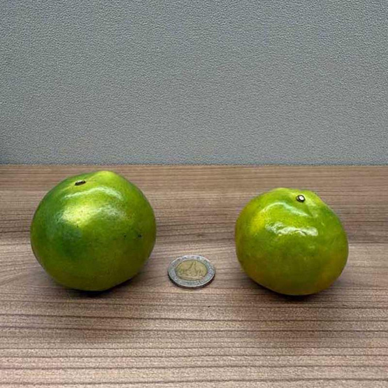 ส้มสายน้ำผึ้งฝาง เบอร์ 4+5 10 กก. สวนส้มจงลักษณ์ จ.เชียงใหม่