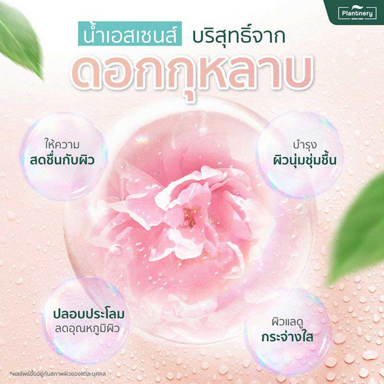 Plantnery สเปรย์ล็อคเมคอัพ Daily Setting Mist Fixing Spray 60 มล. Plantnery สเปรย์ล็อคเมคอัพ Daily Setting Mist Fixing Spray 60 มล.