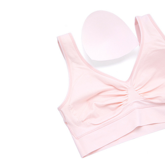 Sabina Habpy lady Level 1 เสื้อชั้นในไร้โครง (แพ็ก 3 ชิ้น) ฟรีไซซ์ Sabina Habpy lady Level 1 เสื้อชั้นในไร้โครง (แพ็ก 3 ชิ้น) ฟรีไซซ์