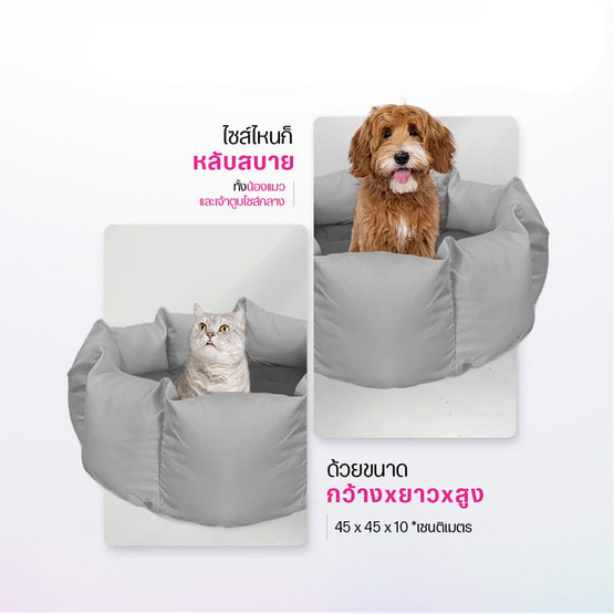 SiamLatex ที่นอนแมว รุ่น Betta