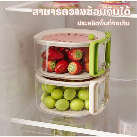 TINTIN SHOP ที่ล้างผักผลไม้ 2 in 1 TINTIN SHOP ที่ล้างผักผลไม้ 2 in 1