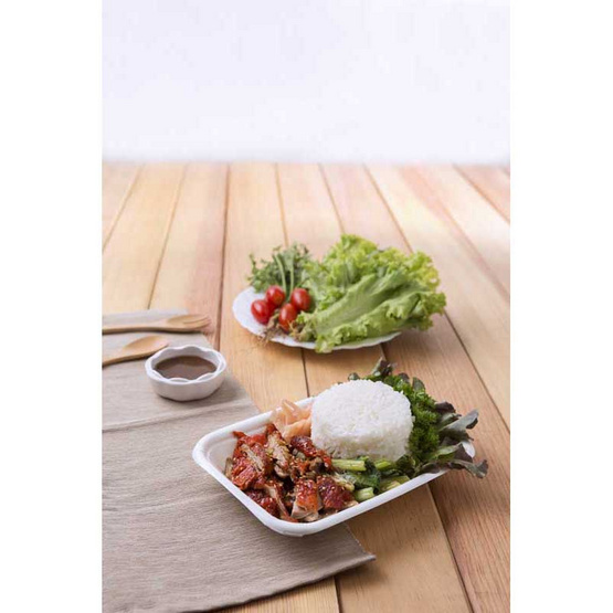 เฟสท์ ถาดกระดาษเฟสท์ ช้อยส์ 5x8 นิ้ว (แพ็ก 10 ชิ้น) เฟสท์ ถาดกระดาษเฟสท์ ช้อยส์ 5x8 นิ้ว (แพ็ก 10 ชิ้น)