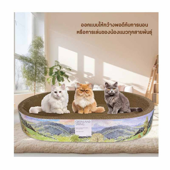 KUMA อ่างลับเล็บแมวขอบสูง Greenland Spring