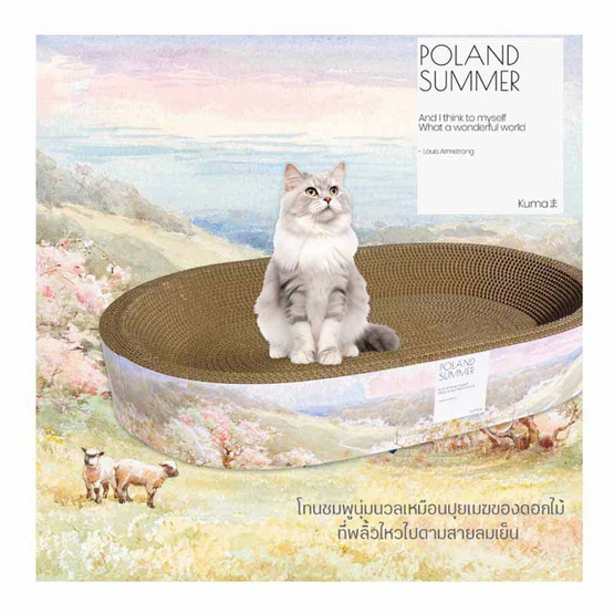 KUMA อ่างลับเล็บแมวขอบสูง Poland Summer
