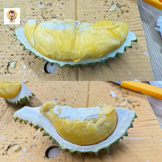 ทุเรียนทองบางสะพาน 1 ลูก (2.5-3 กก.) สวนมีตังค์ จ.ประจวบคีรีขันธ์ ทุเรียนทองบางสะพาน 1 ลูก (2.5-3 กก.) สวนมีตังค์ จ.ประจวบคีรีขันธ์