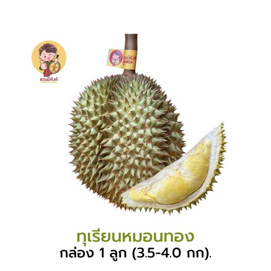 ทุเรียนหมอนทอง 1 ลูก (3.5-4 กก.) สวนมีตังค์ จ.ประจวบคีรีขันธ์ ทุเรียนหมอนทอง 1 ลูก (3.5-4 กก.) สวนมีตังค์ จ.ประจวบคีรีขันธ์