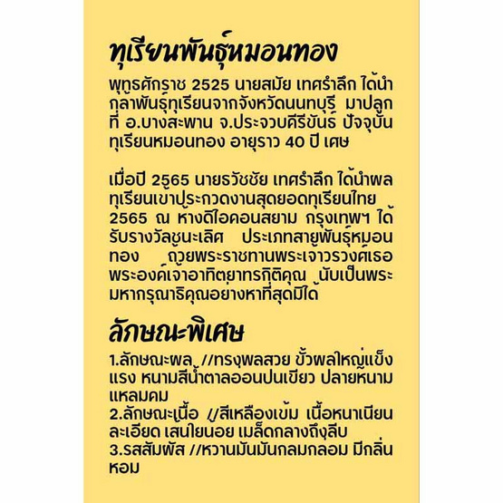 ทุเรียนหมอนทอง 1 ลูก (3.5-4 กก.) สวนมีตังค์ จ.ประจวบคีรีขันธ์ ทุเรียนหมอนทอง 1 ลูก (3.5-4 กก.) สวนมีตังค์ จ.ประจวบคีรีขันธ์