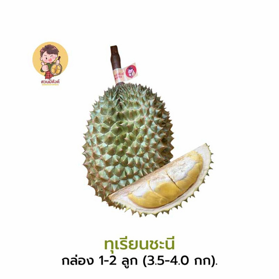 ทุเรียนชะนี 1-2 ลูก (3.5-4 กก.) สวนมีตังค์ จ.ประจวบคีรีขันธ์ ทุเรียนชะนี 1-2 ลูก (3.5-4 กก.) สวนมีตังค์ จ.ประจวบคีรีขันธ์