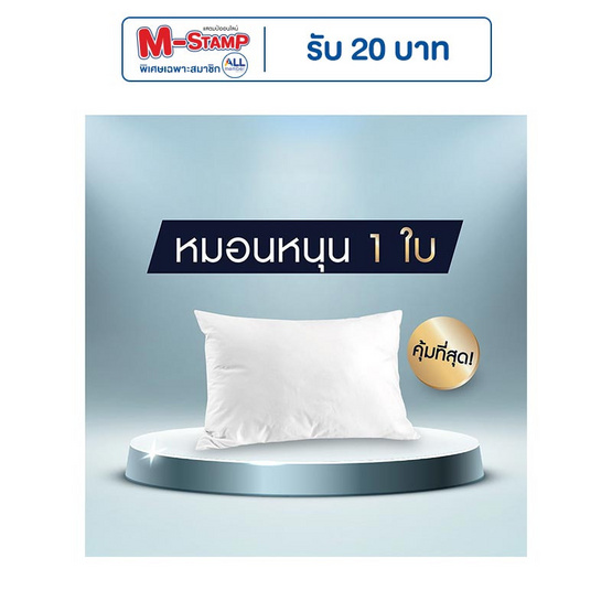 SOLOMON หมอนหนุนสุขภาพ ป้องกันไรฝุ่น (White) 1ใบ SOLOMON หมอนหนุนสุขภาพ ป้องกันไรฝุ่น (White) 1ใบ