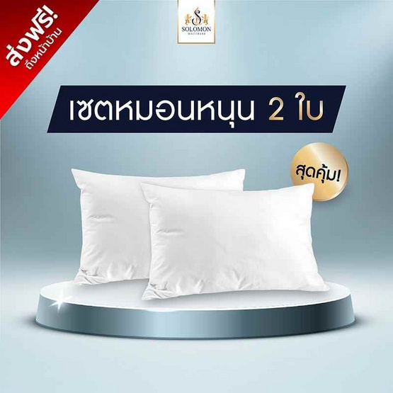 SOLOMON หมอนหนุน 2 ใบ เพื่อสุขภาพ ป้องกันไรฝุ่น
